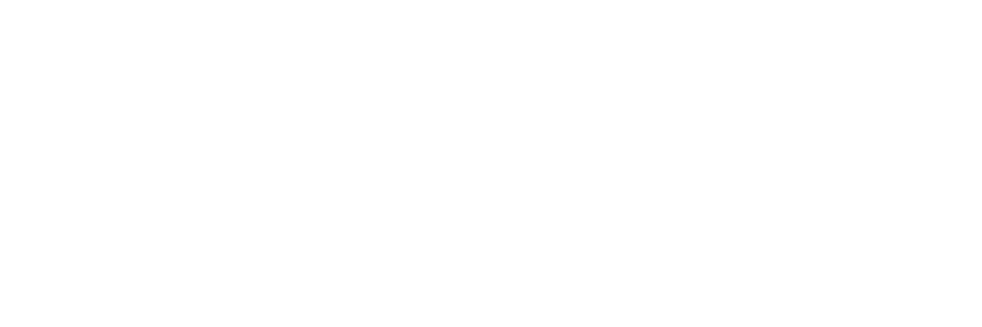 Transparent Logo